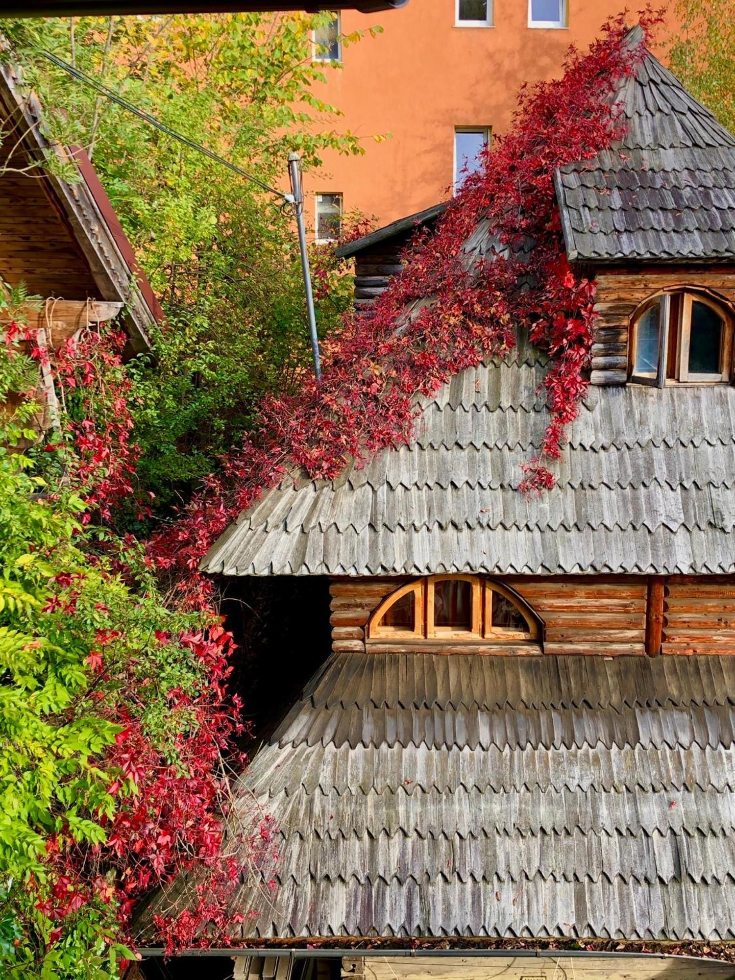 Villa Casa Ieud - Catun Sinaia Exterior foto